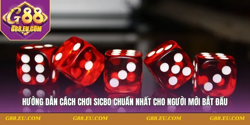 Hướng Dẫn Cách Chơi Sicbo Chuẩn Nhất Cho Người Mới Bắt Đầu