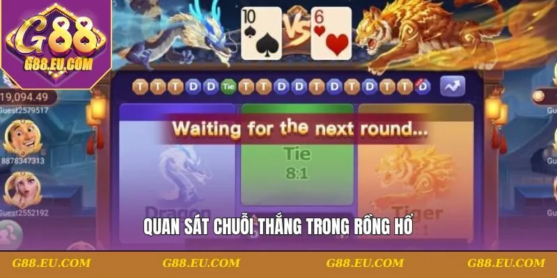 Quan sát chuỗi thắng trong rồng hổ