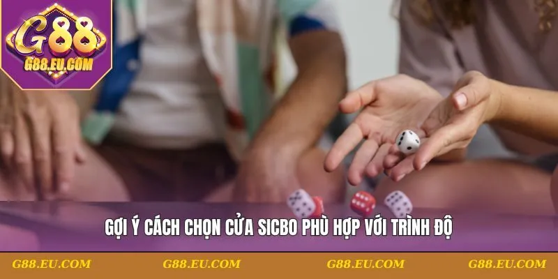 Gợi ý cách chọn cửa Sicbo phù hợp với trình độ
